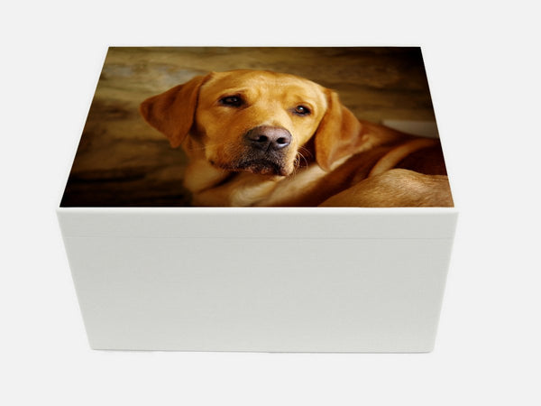 Extra Large A4 white wooden chest with your own pet photo(s)|33.5 x 26 x 18 cm