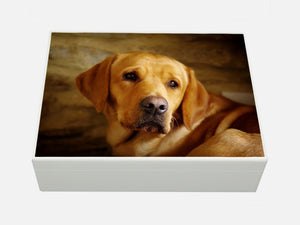 Design your own box - Pet Photos - A4 Wood box - Personalised
