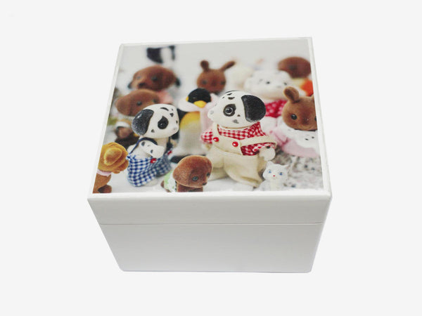Personalised Gift box Sylvanians  - Square wood box